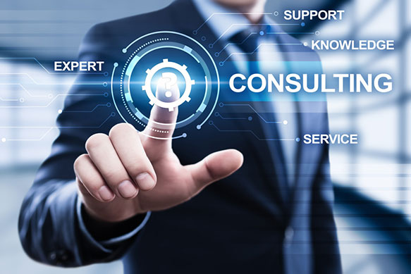 Consulting Services